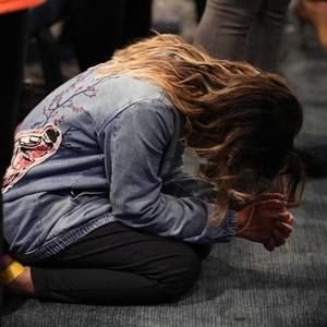 Meet your Posher, Genesis